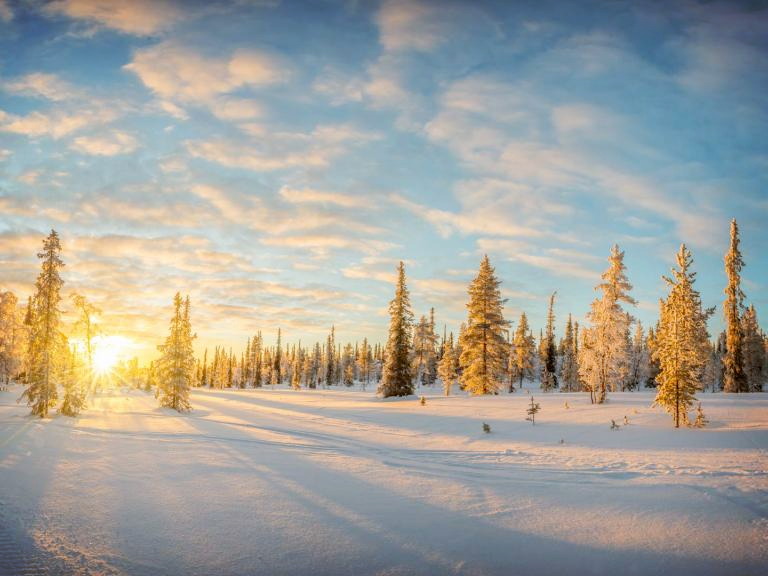 Titelbild für Winterliches Finnland unter dem Polarlicht