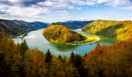 Frühlingserwachen und goldener Herbst an der Donauschlinge