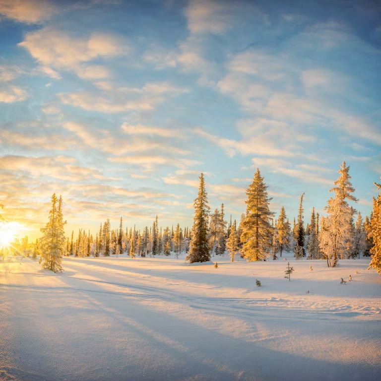 Titelbild für Winterliches Finnland unter dem Polarlicht